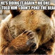Image result for Bear Face Meme