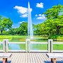 Image result for Yoyogi Park Sakura