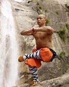 Image result for Shaolin Martial Arts