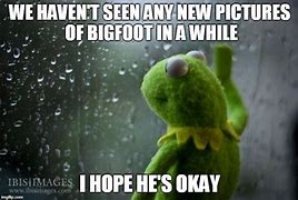 Image result for High Kermit Meme