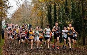 Image result for XC Running