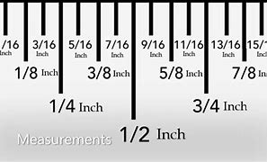 Image result for What Does 5 Inches Look Like