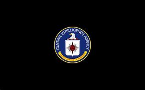 Image result for CIA United States Logo