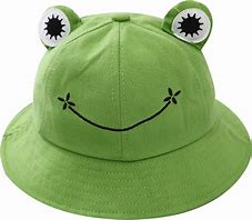 Image result for Frog Hat Cool