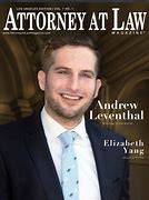 Image result for Nice Law Cover Page
