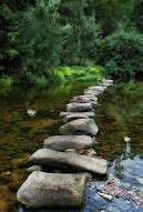 Image result for Beautiful Stepping Stones On Water