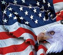 Image result for Freedom United States
