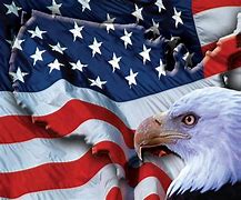 Image result for American Flag and Price of Freedom