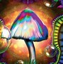 Image result for Cool Trippy Mushroom Wallpaper