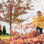 Image result for Autumn Leaves Pile