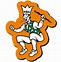 Image result for Celtics Logo White