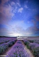 Image result for Beautiful Purple Night Sky