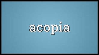 Image result for acopiae