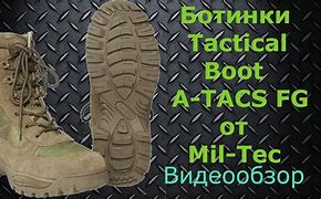 Image result for tacs�mil