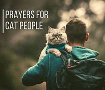 Image result for Cat Prayer Walk