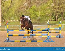 Image result for Show Jumping Attire
