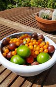Image result for Home Grown Tomatoes