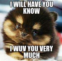 Image result for I Love You Funny