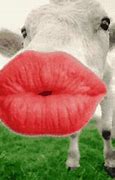 Image result for Funny Lipstick Memes