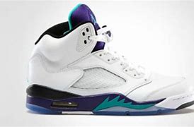 Image result for jordans v retro grapes