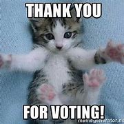 Image result for Vote Cat Meme