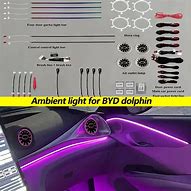 Image result for BYD Dolphin Ambient Lighting