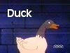 Image result for Duck On Phone
