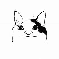 Image result for Cute Cat Meme Drawing