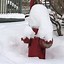 Image result for 3 Inch Hose to Hydrant