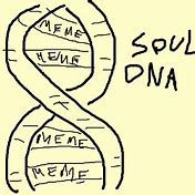 Image result for Memes Are the DNA of the Soul