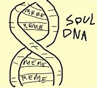 Image result for Memes DNA of the Soul