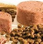 Image result for What to Feed a Cat with Diabetes