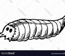 Image result for Maggot Pencil Drawing