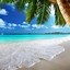 Image result for Phone Wallpaper Bright Beach