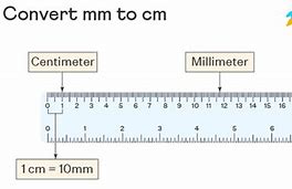Image result for How Small Is a Cm
