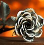 Image result for What Is Rose Metal