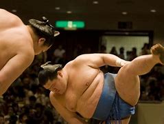 Image result for Sumo Wrestler