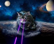 Image result for Space Kittens Background