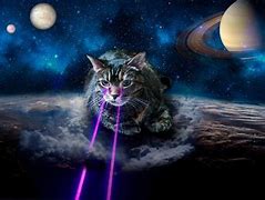 Image result for Space Cat 1080X1080