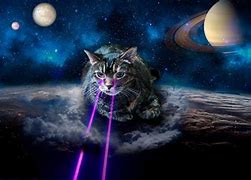 Image result for 3440X1440 Wallpaper Cat Space