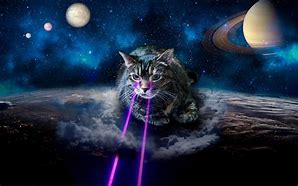 Image result for space cat with laser