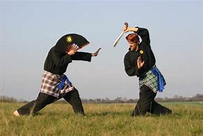 Image result for Silat Indonesia