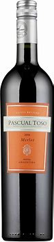 Image result for Pascual Toso Merlot