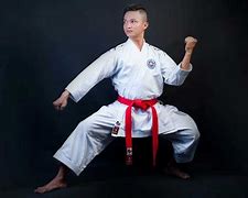 Image result for Shitikan Karate
