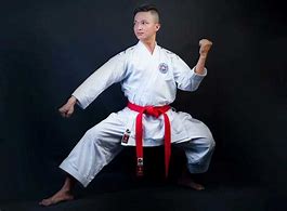 Image result for Shotokan Karate Moves