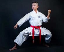 Image result for Shotokan Karate Kata