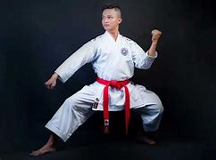 Image result for Shotokan Karate Gear