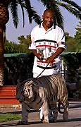 Image result for mike tyson tiger pet