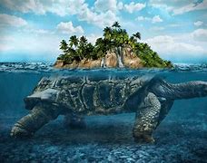 Image result for Turtal with Island On Top