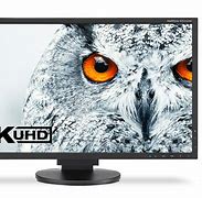 Image result for Popular Monitors
